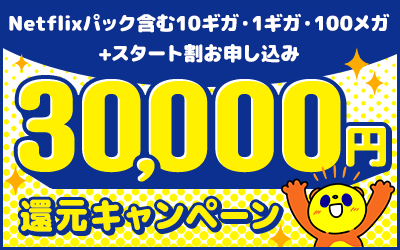 30,000円還元キャンペーン