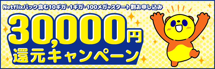 30,000円還元キャンペーン！