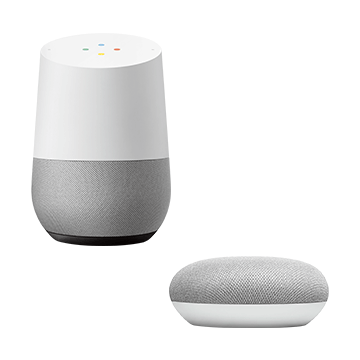 Google Home/Google Nest Mini